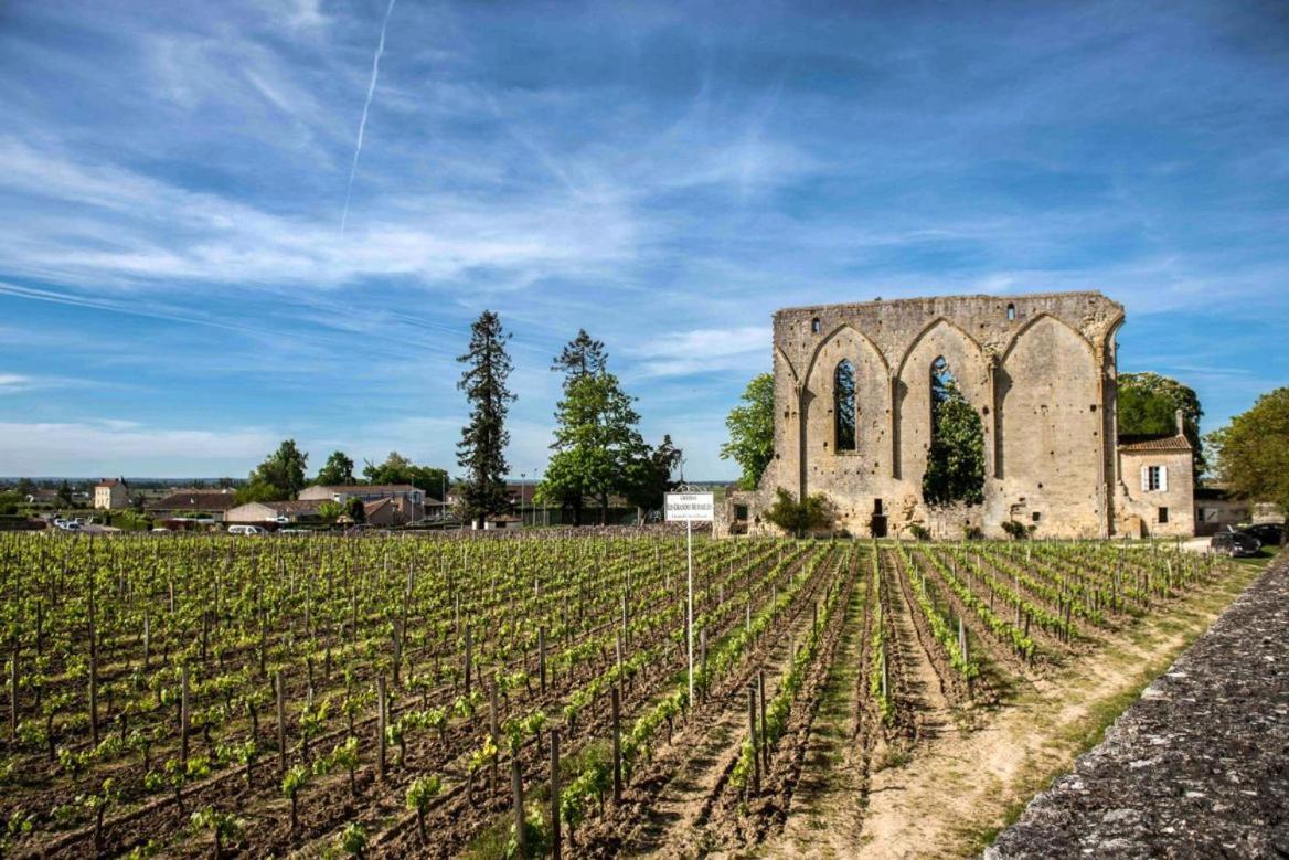 Maison Cosy Avec Vue Sur Les Vignes. Libourne Exterior photo